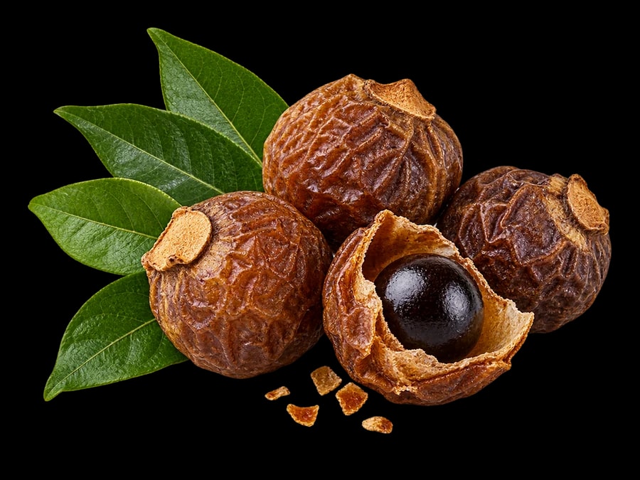 Brown reetha soapnuts, an open shell and green leaves